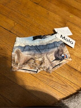 Molo Boys' Swim Shorts with Seal Print - Blue Tan